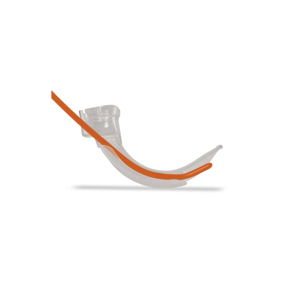banner_img