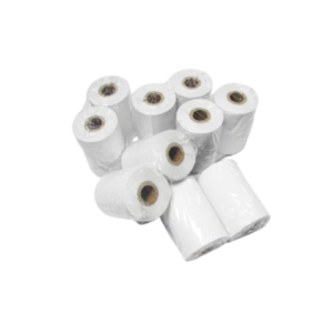 Bionet BM Paper