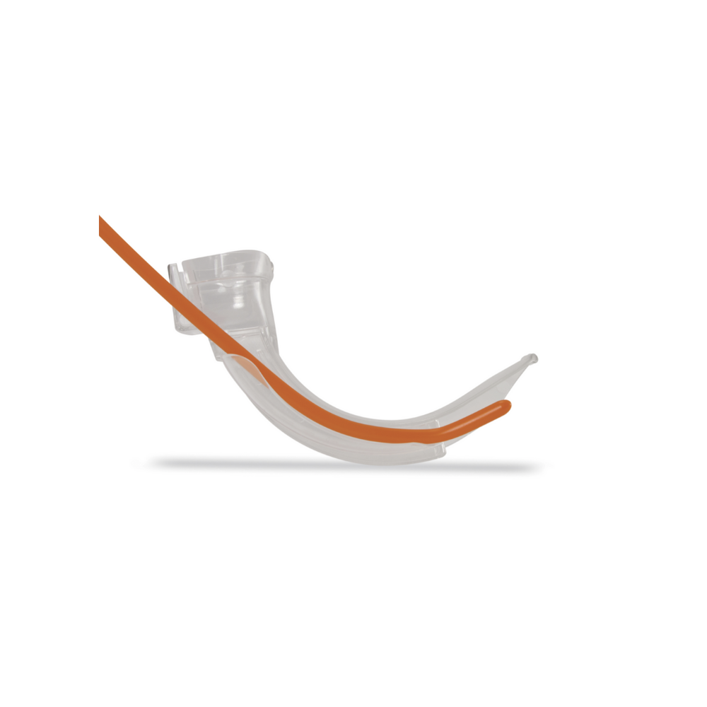 banner_img