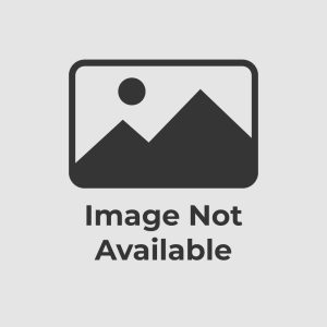 AHA 2020 BLS Instructor Essentials Course Digital Videos